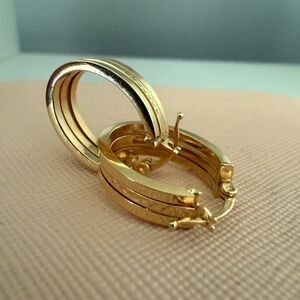 Elegant Gold and Silver Hoop Earrings
